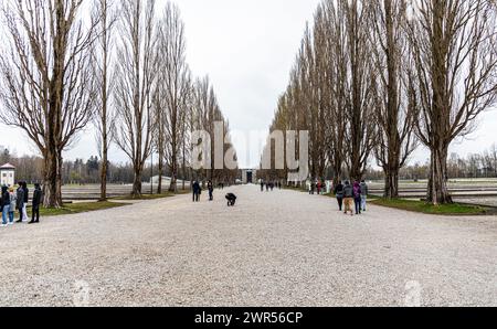 Blick in die Lagerstrasse mit der Baumallee. Links und rechts sind die Fundamenete der ehemaligen Lagerbaracken. Das Konzentrationslager Dachau ist he Stock Photo