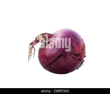 red onion isolated on white background, full depth of field, clipping path, Stock Photo