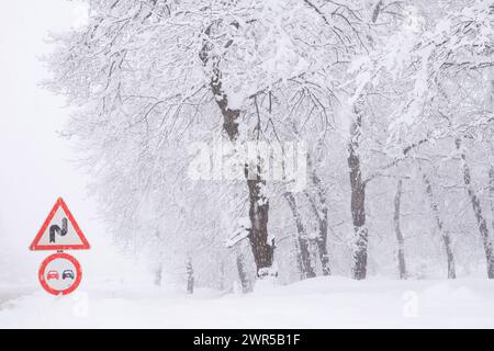 Snowy forest road and traffic warning signs Stock Photo