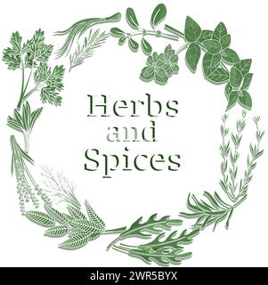 Herbs and spices. Hand drawn leaves. Round frame. Peppermint basil marjoram. Label or emblem design. Condiment isolated on green background. Packaging element. Cooking ingredient. Vector illustration Stock Vector