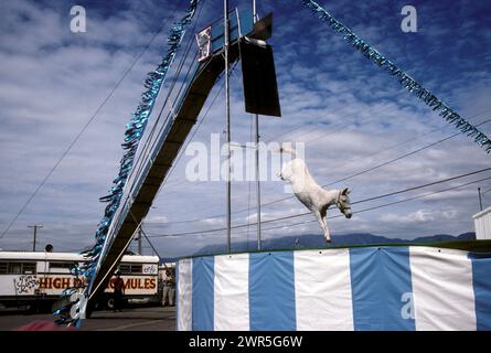 Albuquerque Stock Photo