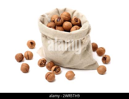 shagbark hickory nuts on white background Stock Photo