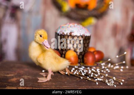 Easter decorated interior with colorfull eggs and ducklings Stock Photo