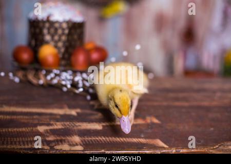 Easter decorated interior with colorfull eggs and ducklings Stock Photo