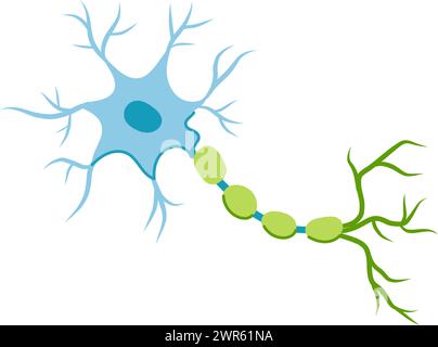 brain neurons cartoon vector illustration Stock Vector