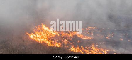 MYKOLAIV Reg, UKRAINE — Mar. 02, 2024: War in Ukraine. Burning grass in the outskirts of a village in Mykolaiv region of Ukraine. Stock Photo