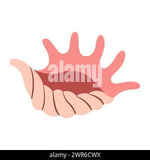 Hand drawn Seashell Arthritic Spider Conch, Murex. Cartoon style flat illustration seashell isolated on white background. Vector illustration Stock Vector