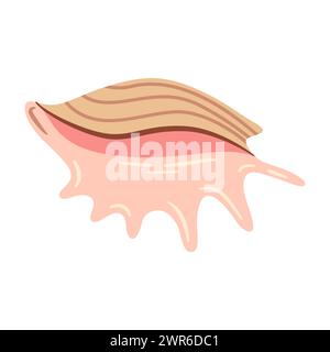 Hand drawn Seashell Arthritic Spider Conch, Murex. Cartoon style flat illustration seashell isolated on white background. Vector illustration Stock Vector