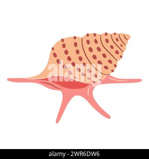 Hand drawn Seashell Arthritic Spider Conch, Murex. Cartoon style flat illustration seashell isolated on white background. Aporrhais senegalensis. Vector illustration Stock Vector