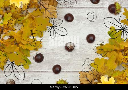 Bright Yellow Autumn Leaves, Chestnuts, Pine Cones And Orange Physalis 