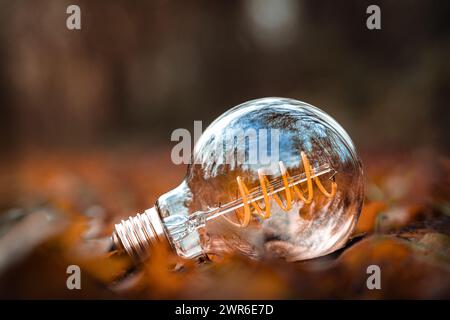 Lamp shining through fall leaves Stock Photo