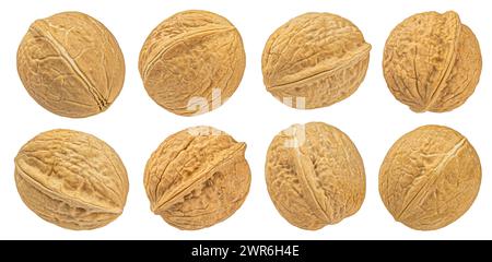 Whole walnuts isolated on white background, collection Stock Photo