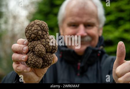 Senior citizen holding a black truffle. Stock Photo