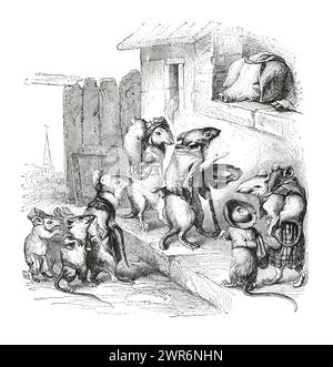 Anthropomorphic animals. humanized mouse. mice beats toy mouse. cyborg ...