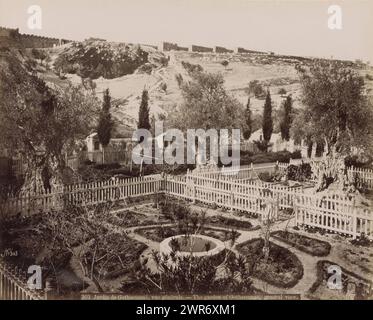 View of the Garden of Gethsemane at the foot of the Mount of Olives in Jerusalem, Jardin de Gethsemane, vue générale. - The garden of Gethsemane, general view. (title on object), Part of Travel album with photos of Jerusalem and other biblical places., Maison Bonfils, Jeruzalem, c. 1867 - c. 1895, cardboard, albumen print, height 225 mm × width 283 mm, photograph Stock Photo