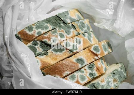The old mold on the wheat bread. Spoiled food. Mold on food in plastic bag Stock Photo