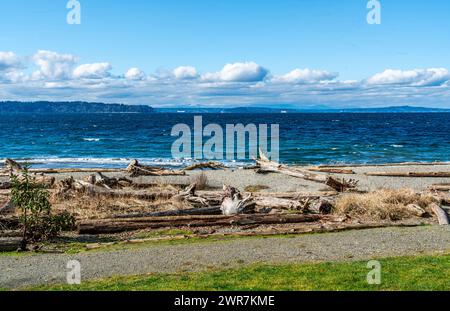 A view of deep blue water from Seahurst Beach Park. Driftwood in the foreground. Stock Photo