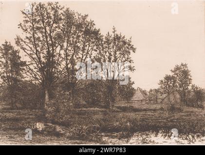 Landscape with four willows and a stream, print maker: Alfred Elsen, (signed by artist), 1881, paper, etching, height 235 mm × width 330 mm, print Stock Photo