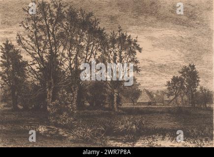 Landscape with four willows and a stream, print maker: Alfred Elsen, 1881, paper, etching, height 235 mm × width 330 mm, print Stock Photo