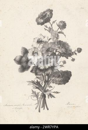 Bouquet with anemone, buttercup and daffodil, Anémone simple, renoncule, et narcisse (title on object), Flower bouquets by Auguste Piquet de Brienne (series title), print maker: Auguste Piquet de Brienne, printer: Gottfried Engelmann, Paris, 1817 - 1831, paper, height 362 mm × width 262 mm, print Stock Photo