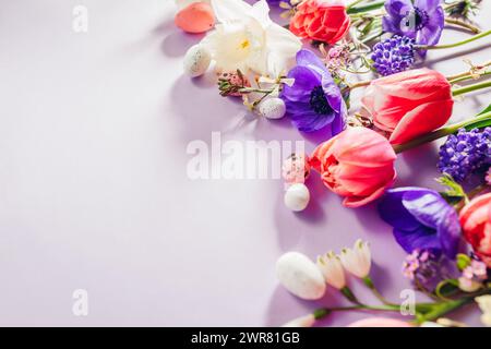 Happy Easter. Easter eggs with spring pink purple flowers flat lay on purple background. Greeting card or banner with blooms. Space. Top view Stock Photo