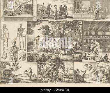 Adam and Eve in paradise, surrounded by various representations, Encyclopedic representations for youth (series title), Bilder-Akademie für die Jugend (series title), Various representations contained in frames, with central Adam and Eve in paradise, flanked by images of human anatomy on the left and a potter on the right. Above and below other images, including some mythological in nature. Numbered bottom center: 2., print maker: Johann David Schleuen (I), after drawing by: Daniel Nikolaus Chodowiecki, 1784, paper, engraving, etching, height 210 mm × width 280 mm Stock Photo