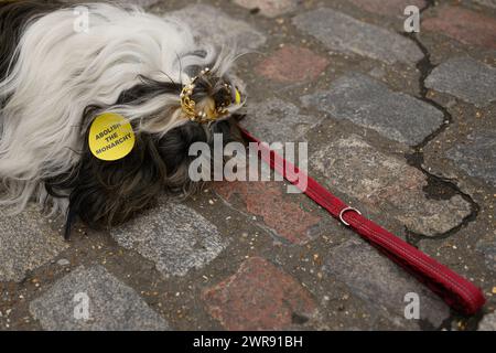 LONDON, UK 11th March 2024: As the Queen Consort Camilla represents the Royal Family at the Commonwealth Day Service at Westminster Abbey, outside protestors from Republic demonstrate against the institution of the monarchy. A protesters’s dog is adorned with abolish the monarch stickers and a toy crown. Stock Photo