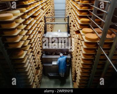 Loading machine working at cheese warehouse. Stock Photo
