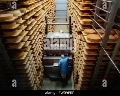 Loading machine working at cheese warehouse. Stock Photo