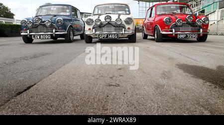 04/09/11 ..Three of the original minis from The Italian Job have had their first ever public showing today.  ..After bidding £6000 for three boxes of Stock Photo