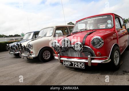 04/09/11 ..Three of the original minis from The Italian Job have had their first ever public showing today.  ..After bidding £6000 for three boxes of Stock Photo