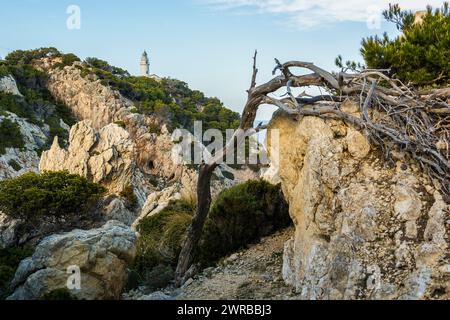 Far de Capdebera lighthouse, Cala Rajada, Majorca, Majorca, Balearic Islands, Spain Stock Photo