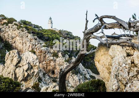 Far de Capdebera lighthouse, Cala Rajada, Majorca, Majorca, Balearic Islands, Spain Stock Photo