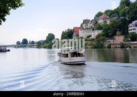 Boat on a river (Neckar), with green bank and cloudy sky, Heidelberg, Baden-Wuerttemberg, Germany Stock Photo