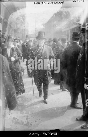 Senator J. O'Gorman, Photograph shows James Aloysius O'Gorman (1860-1943) who served as Senator from New York State from 1911 to 1917., between ca. 1910 and ca. 1915, Glass negatives, 1 negative: glass Stock Photo