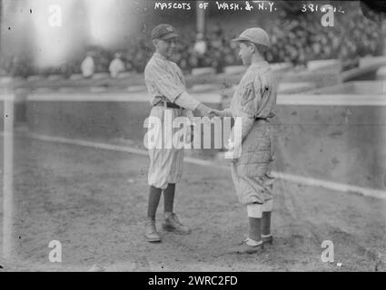 Mascots of New York AL & Washington AL (baseball), 1916, Glass negatives, 1 negative: glass Stock Photo