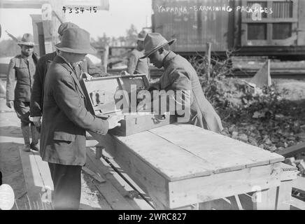 Yaphank, examining packages, Photograph shows African American soldier examining a package at Camp Upton, a U.S. Army installation located on Long Island, in Yaphank, New York, during World War I., 1917 September 11, World War, 1914-1918, Glass negatives, 1 negative: glass Stock Photo