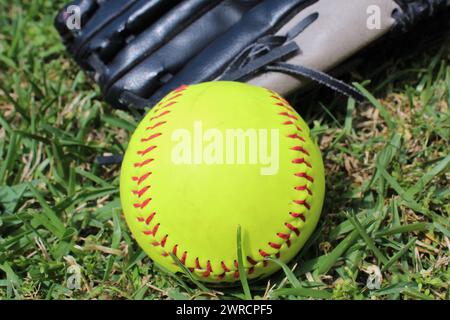 Softball on grass closeup Stock Photo