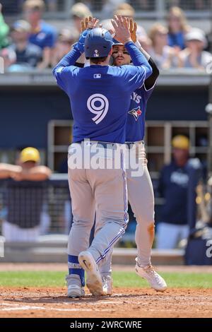 Toronto Blue Jays catcher Danny Jansen plays during a baseball game ...