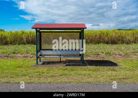 A lonely bus stop shelter sits beside sugarcane fields near Mossman in tropical north Queensland, Australia Stock Photo
