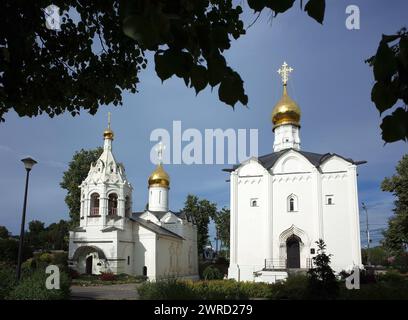 Russian architecture white buildings of Pyatnitskaya church and Vvedenskaya church, Architectural ensemble of Holy Trinity St. Sergius Lavra, Golden r Stock Photo