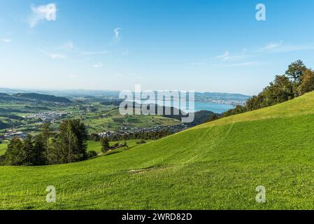 Landscape near Kuessnacht with view to Lake Zug (Zugersee), Canton of Schwyz, Switzerland Stock Photo