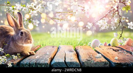Easter - Cute Bunny On Table With Cherry Flowers In Sunny Garden Stock Photo