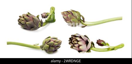 Fresh Artichokes set Isolated on White background Stock Photo