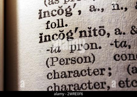 Word investigate on dictionary page, macro close-up Stock Photo
