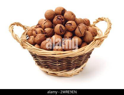 shagbark hickory nuts on white background Stock Photo