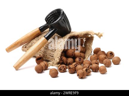 shagbark hickory nuts on white background Stock Photo