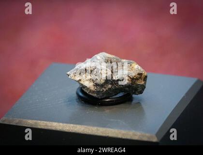 Berlin, Germany. 12th Mar, 2024. One of the fragments of a meteorite found near Ribbeck in Brandenburg is displayed in a glass case in the Mineral Hall of the Museum of Natural History. The meteorite hit the earth near Ribbeck near Berlin in January. Credit: Soeren Stache/dpa/Alamy Live News Stock Photo