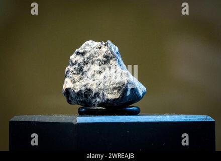 Berlin, Germany. 12th Mar, 2024. One of the fragments of a meteorite found near Ribbeck in Brandenburg is displayed in a glass case in the Mineral Hall of the Museum of Natural History. The meteorite hit the earth near Ribbeck near Berlin in January. Credit: Soeren Stache/dpa/Alamy Live News Stock Photo