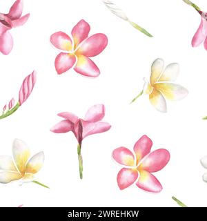 Watercolor frangipani seamless pattern. Hand drawn illustration. Plumeria or Temple tree flower. For textile, wallpaper, cosmetics design. Stock Photo